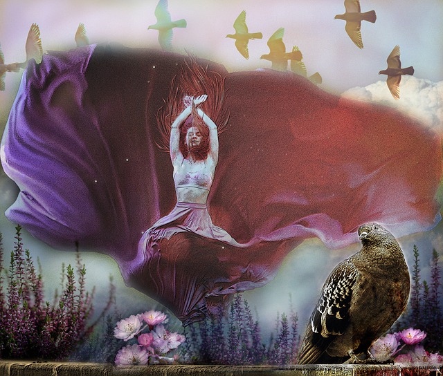 由此可见 由此可见